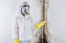 Why You Should Choose Our Mold Remediation Services in Lucerne, CA